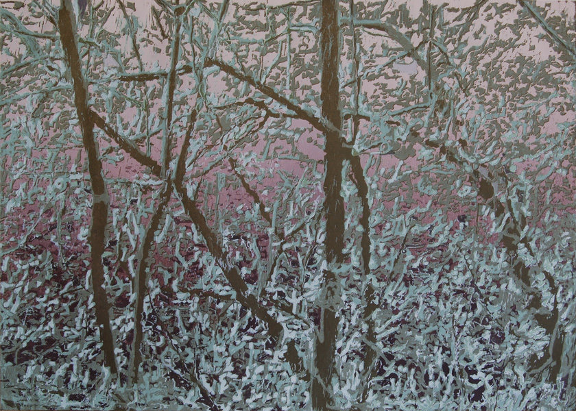 25 Huurre 47x36cm.jpg